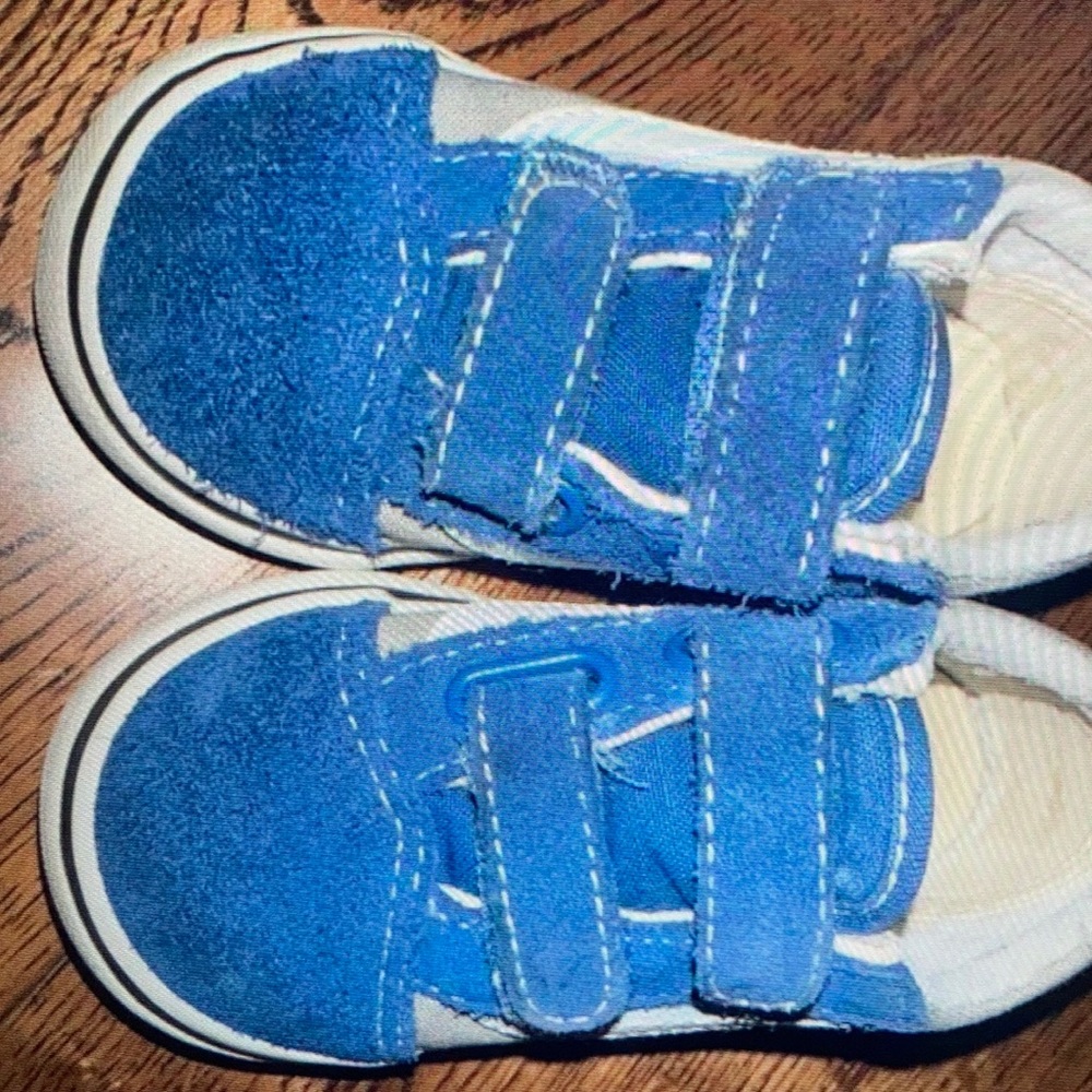 Vans Blue toddler shoes